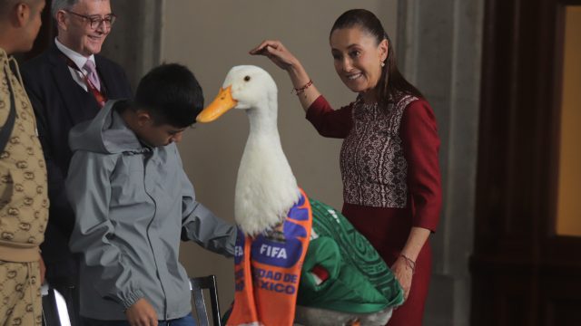 Meet Merlin the Duck: The Unofficial Mascot of the 2026 FIFA World Cup | best betting, poker english