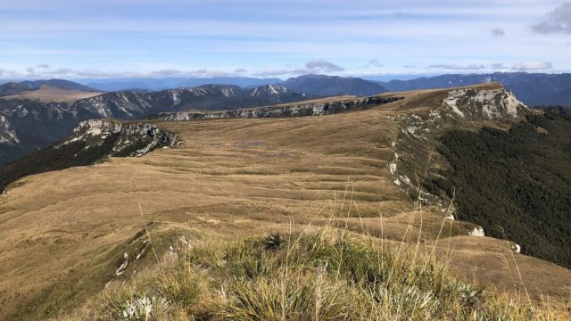 Government Responds to Conservation Land Sale Concerns with New Proposal | paman togel login, fanta