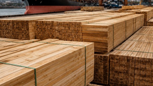 Future of China's Softwood Imports: Trends and Implications for 2025